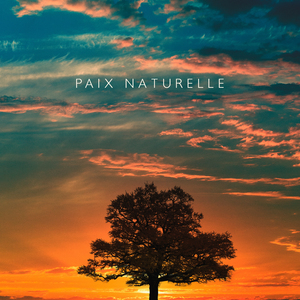 Légende sur la forêt ancienne