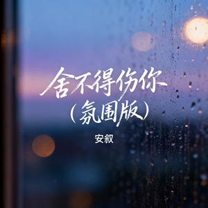 舍不得伤你（氛围版）