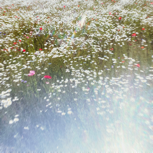 Falling Asleep With Your Clothes On