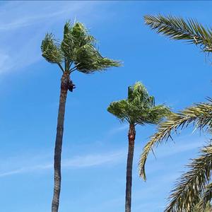 Fresh som en Breeze (feat. ST1)