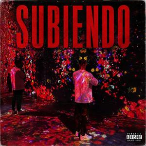 SUBIENDO