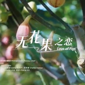 无花果之恋