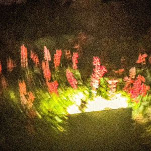 银河系最后一位信徒