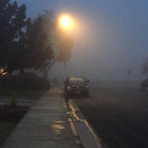 Free | Under the coke sign