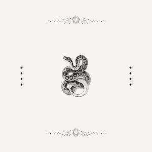 Snake Charmer