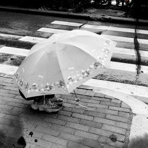 流川枫与苍井空（Cover：黑撒）