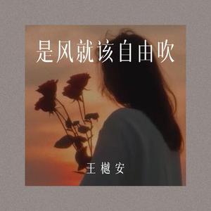 是风就该自由吹 (DJ版)