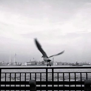 偶尔 emo（1.2x）