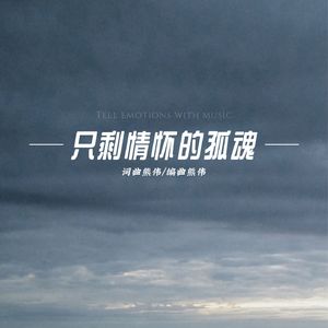 只剩情怀的孤魂