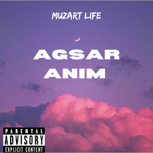 AGSAR ANIM