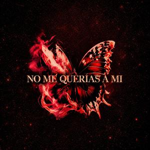 NO ME QUERIAS A MI