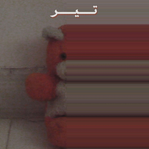 Tir