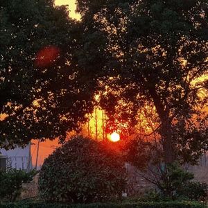 送你一朵小红花