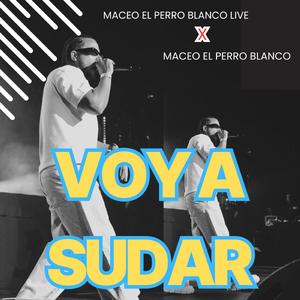 voy a sudar (live)