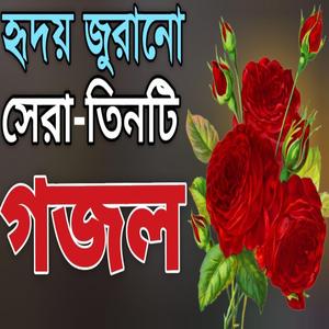 মধুর কন্ঠে মন প্রাণ জুরানো সেরা তিনটি গজল |পাগল করা সুরে আকর্ষণীয় তিনটি গজল |বাংলা গজল |Gojol |গজল