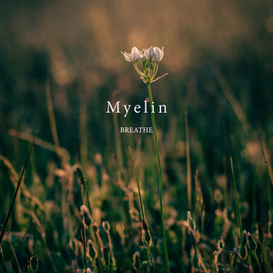 Breathe
