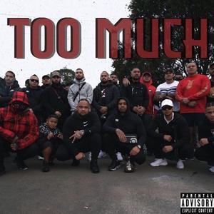 Too Much (feat. RED Honcho, Gee8six, Ldp & Slickmillz)