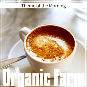 Fresh on the Streets