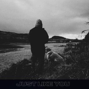 Just Like You