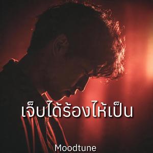 เจ็บได้ร้องไห้เป็น