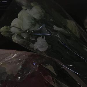 成都