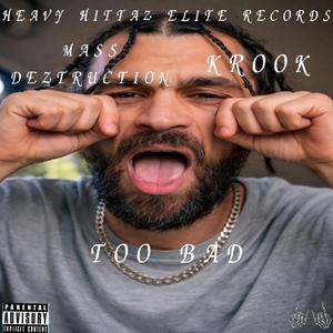 Too Bad (feat. Krook)