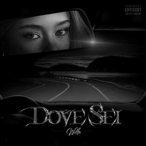 DOVE SEI
