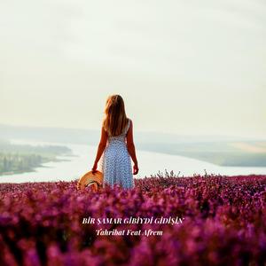 Bir Şamar Gibiydi Gidişin (feat. Afrem)