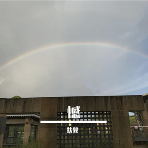 落花雨