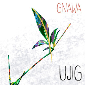 Gnawa