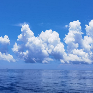 陪伴是最长情的告白