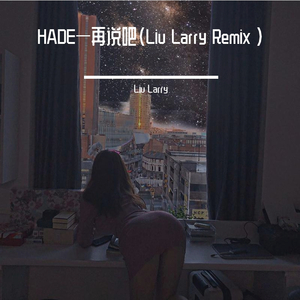 HADE-再说吧（Liu Larry Remix ）（Liu Larry remix）