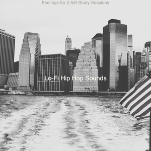 Moment for 2 AM Study Sessions