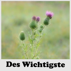 Des Wichtigste