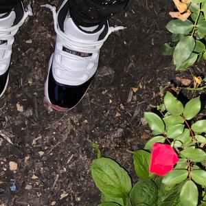 Hbs