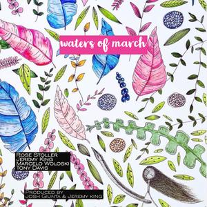 Waters of March (feat. Rose Stoller, Marcelo Woloski & Tony Davis)