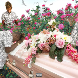 Nonchalant Freestyle