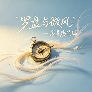 罗盘与微风