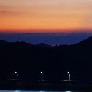 害怕扑空害怕心痛