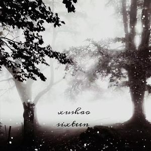 我想要看到你期待的那场雪