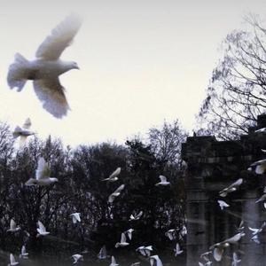 原谅我偶尔的小任性（伤感抒情治愈bgm）