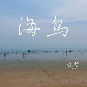 海鸟