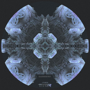 Fuego (Original Mix)