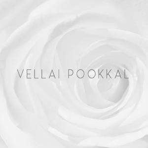 Vellai pookkal