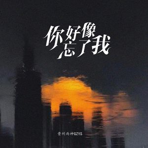 你好像忘了我