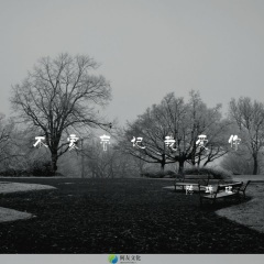 你的眼神出卖你的心 (DJ版)