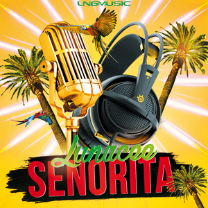 Senorita (Acoustic Mix)