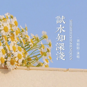 试水知深浅