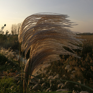 起航 midi伴奏（翻自 张帅APpro05）