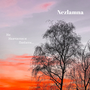 Не навчилися любити